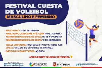 FESTIVAL CUESTA DE VOLEIBOL